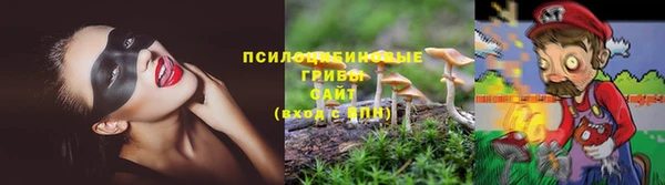 гидра Алексеевка