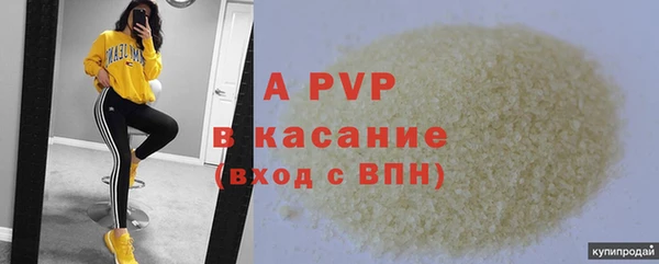 гидра Алексеевка