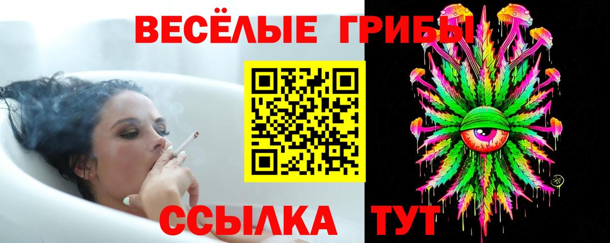 Псилоцибиновые грибы MAGIC MUSHROOMS Михайловск